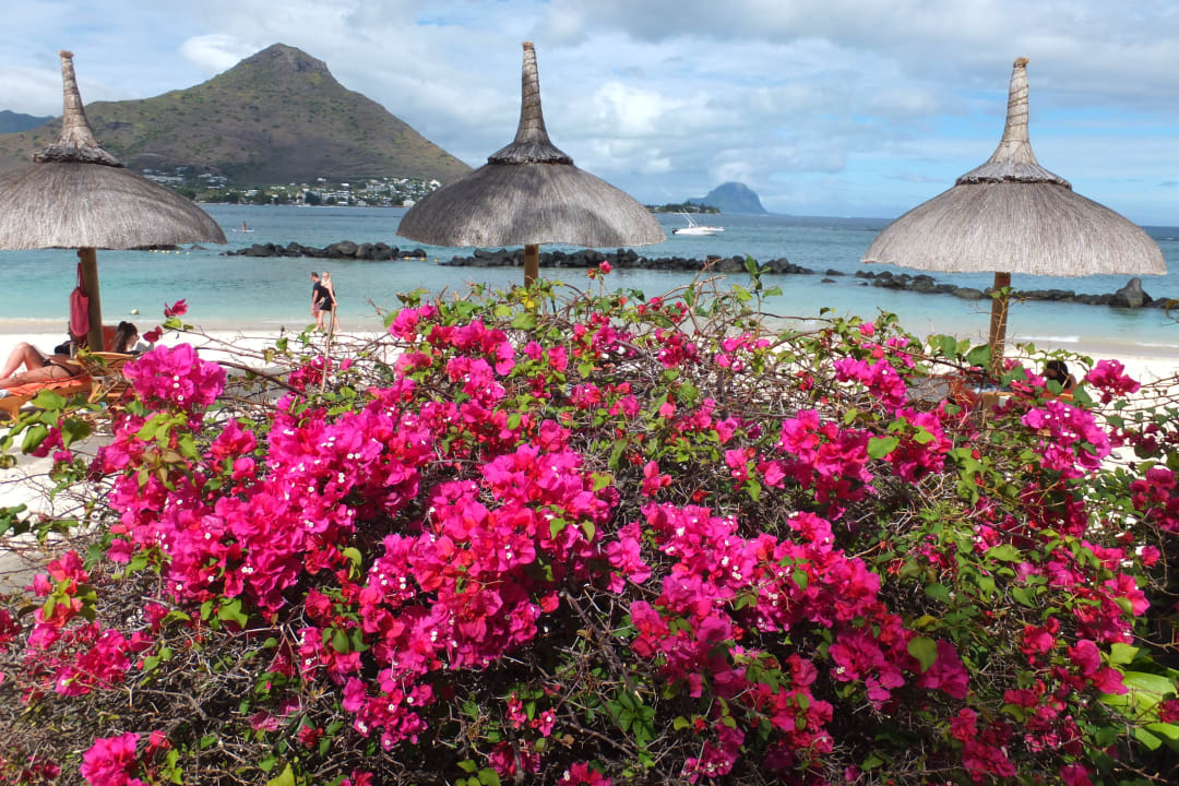 Gartenanlage Sands Suites Resort & Spa