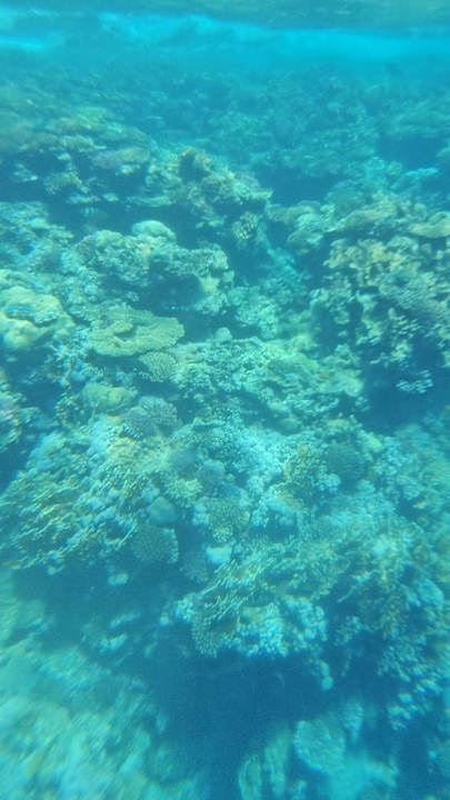 Sonstiges Novotel Marsa Alam Beach Resort