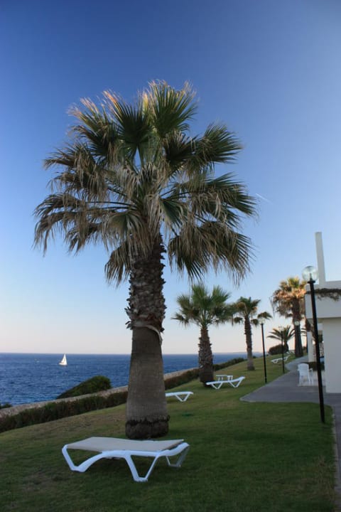 Ausblick von den Appartements auf der Ostseite blau punta reina