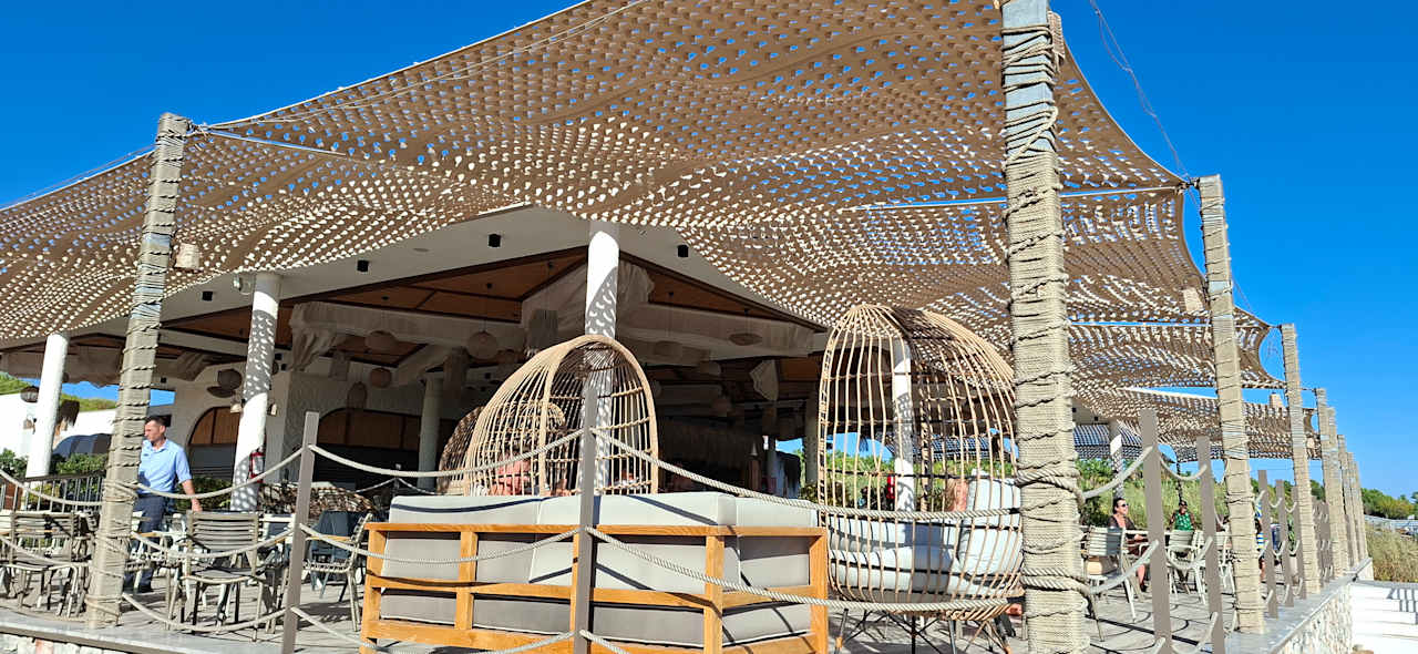 Strand Seashell Vega