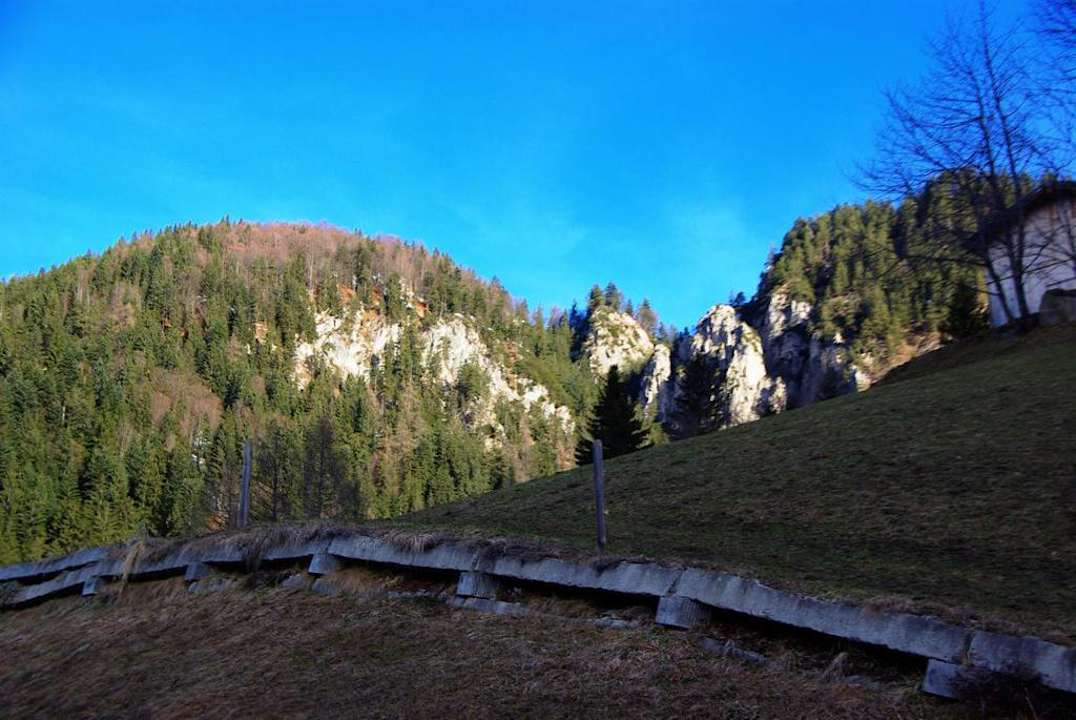 Gartenbereich Ferienheim Foischinghof