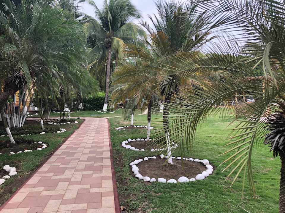 Gartenanlage Hotel Cayman Suites