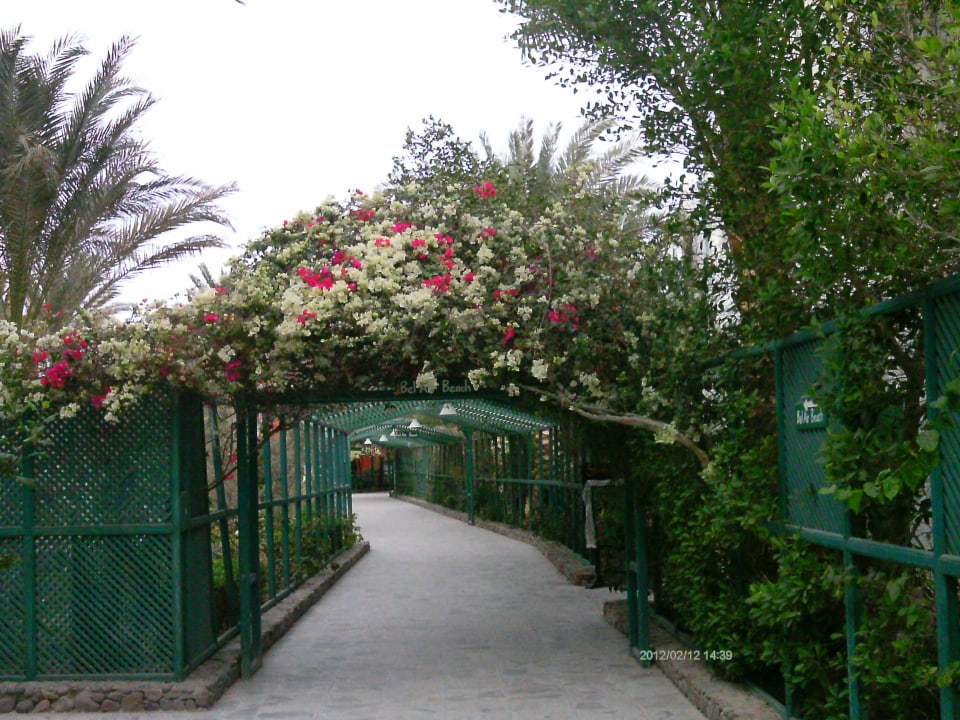 Durchgang zum Strand Bel Air Azur Resort - Adults only