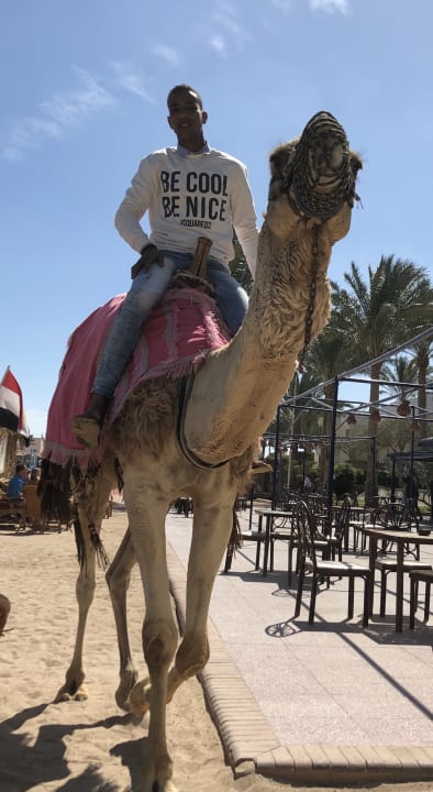 Strand Golden Beach Resort