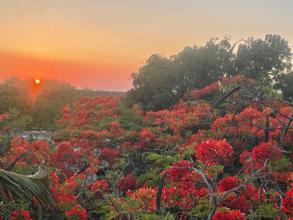 Gartenanlage Akumal Bay Beach & Wellness Resort
