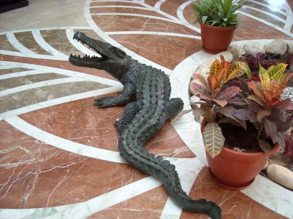 Lobby Sentido Caribbean World Soma Bay