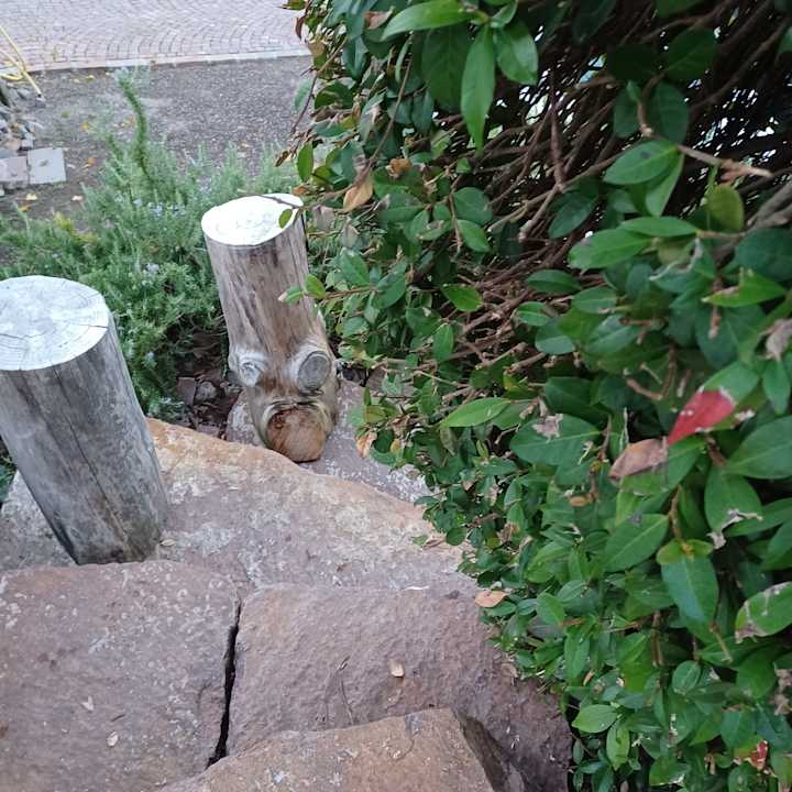 Gartenanlage Hotel Spitaler