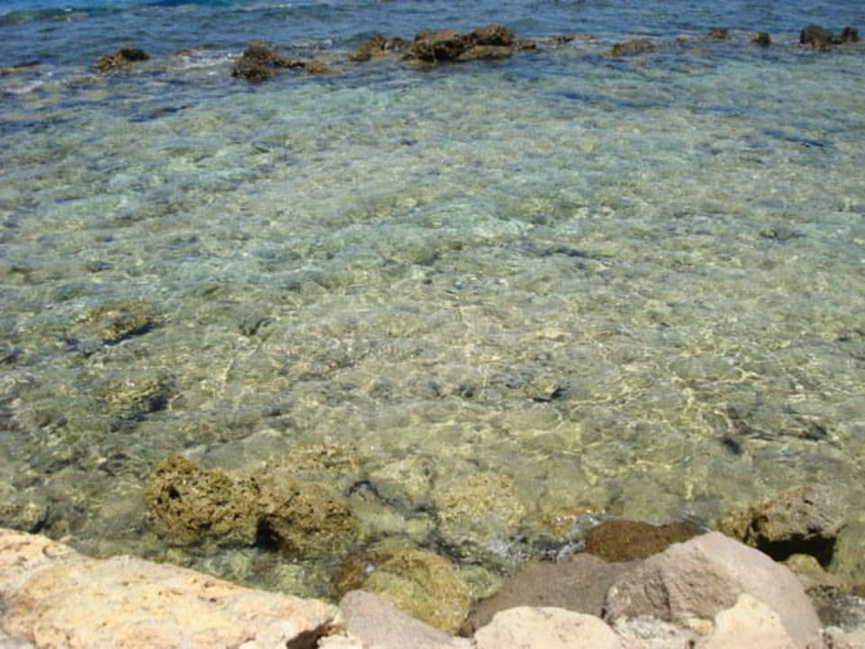 Klar und deutlich, das Meer Pickalbatros Citadel Resort