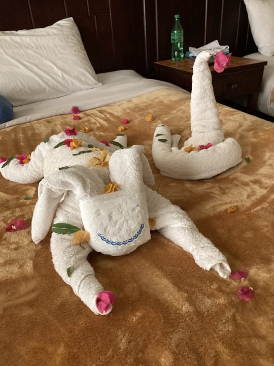 Zimmer Laguna Beach Marsa Resort