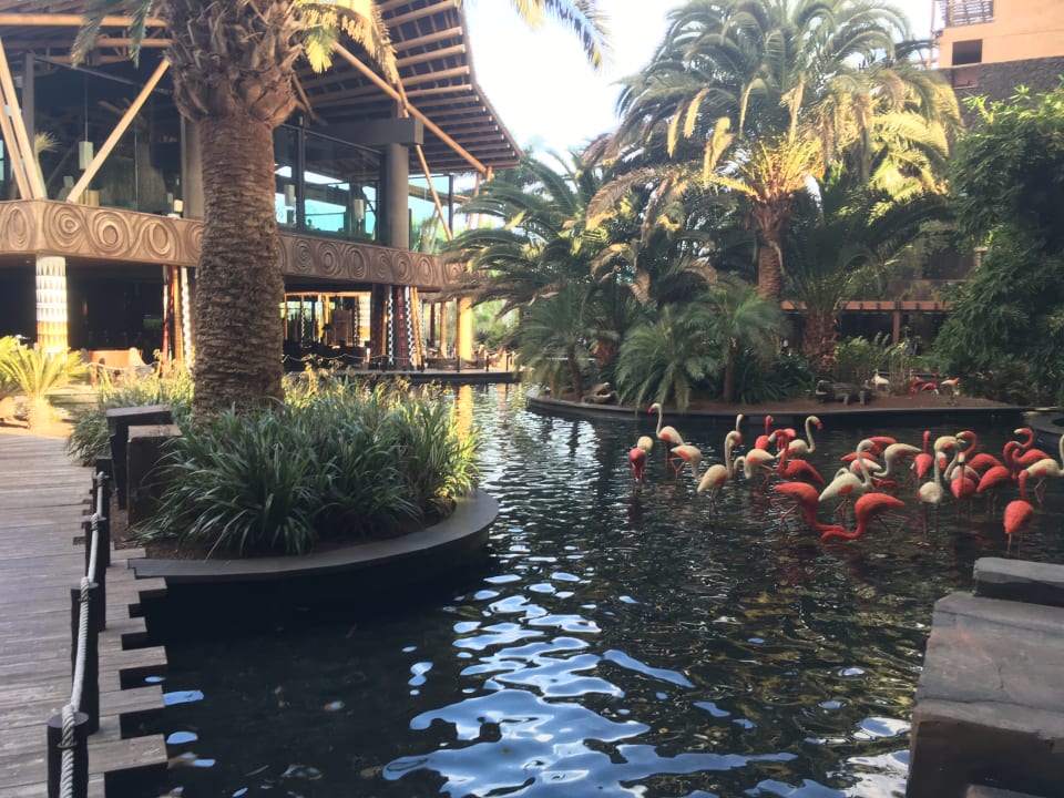 Sonstiges Lopesan Baobab Resort