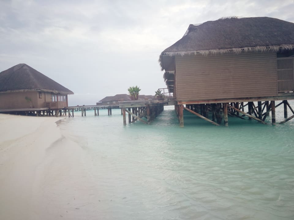 Strand Meeru Maldives Resort Island