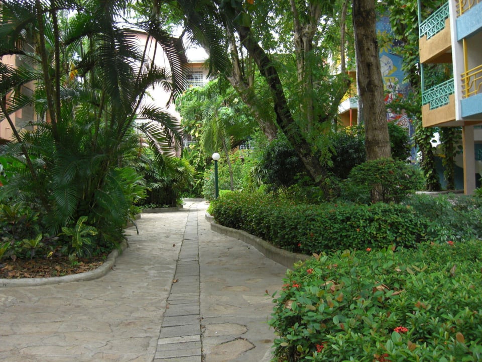 Hotel Don Juan Beach Resort whala!boca chica