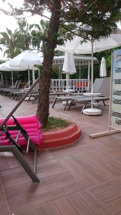 Pool Calimera Hane Garden