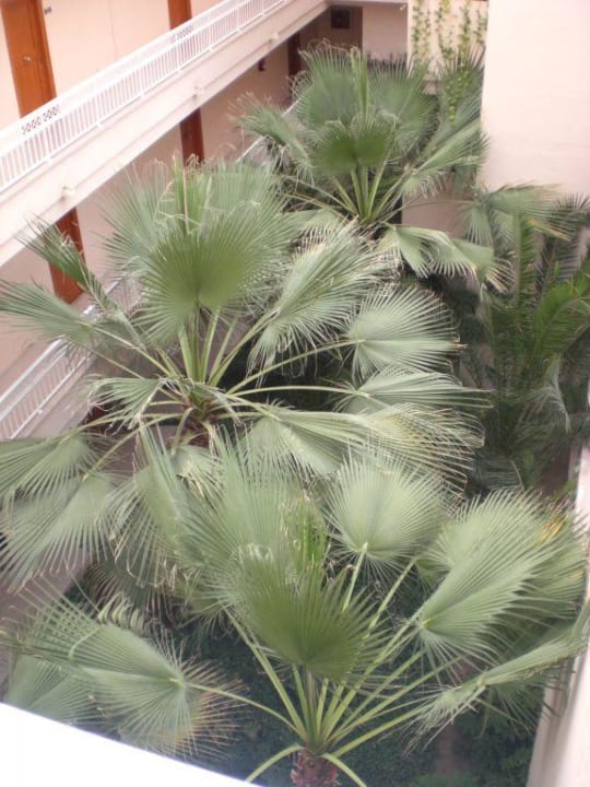 Haus Innenansicht Green Garden Aparthotel