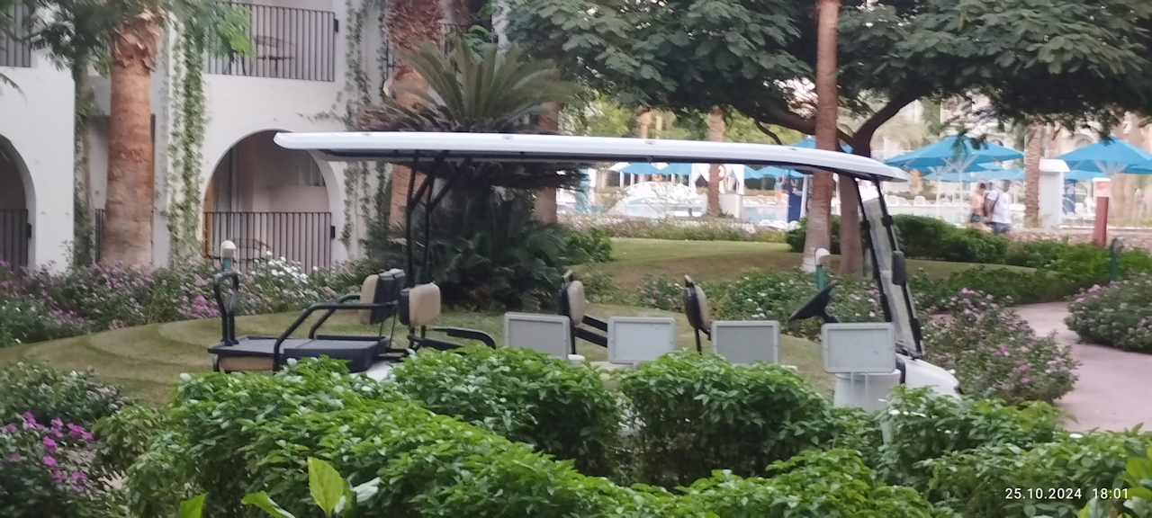 Sonstiges Desert Rose