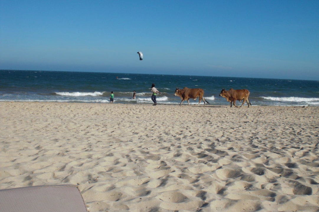 Strand Bamboo Village Beach Resort & Spa