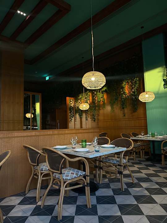 Gastro JAZ Elite Asteria