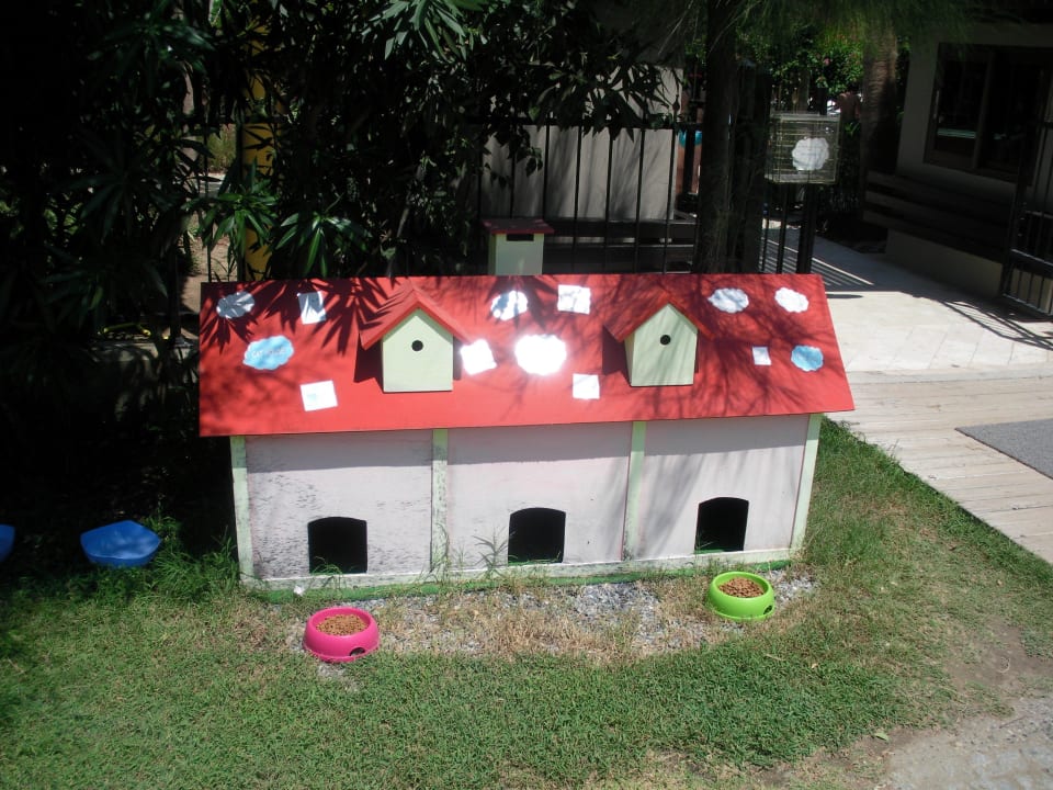 Für die Hotel und Strand Katzen Aydinbey Kings Palace & Spa