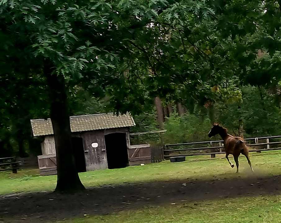 Außenansicht Ferienhof Zur Alten Fuhrmanns-Schänke