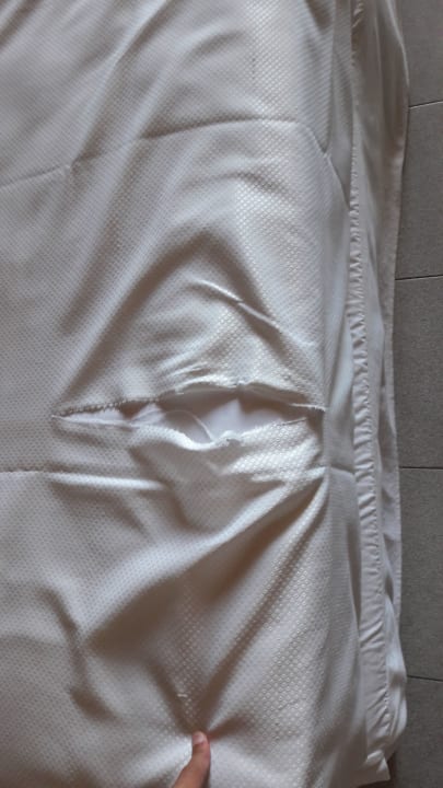 Zimmer Melia La Palma Hotel