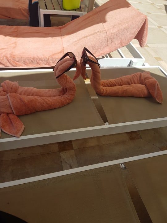 Pool Grand Waterworld Makadi & Family Star Makadi