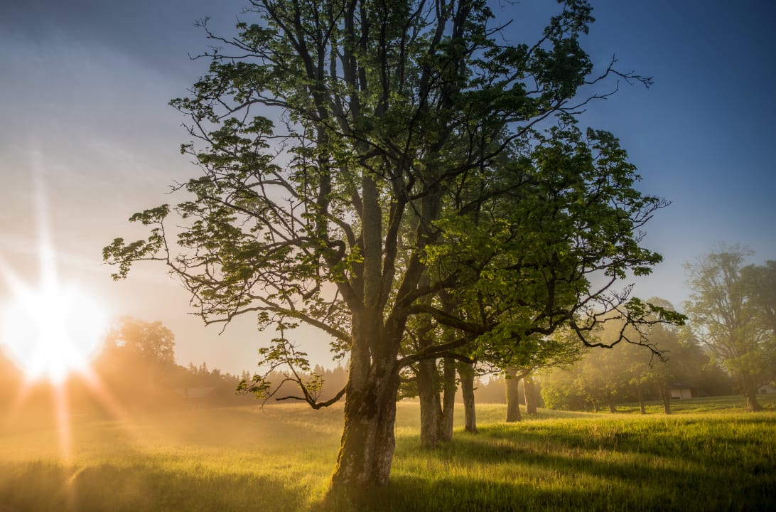 Sonstiges Bio-Holzhaus & Landhaus Heimat