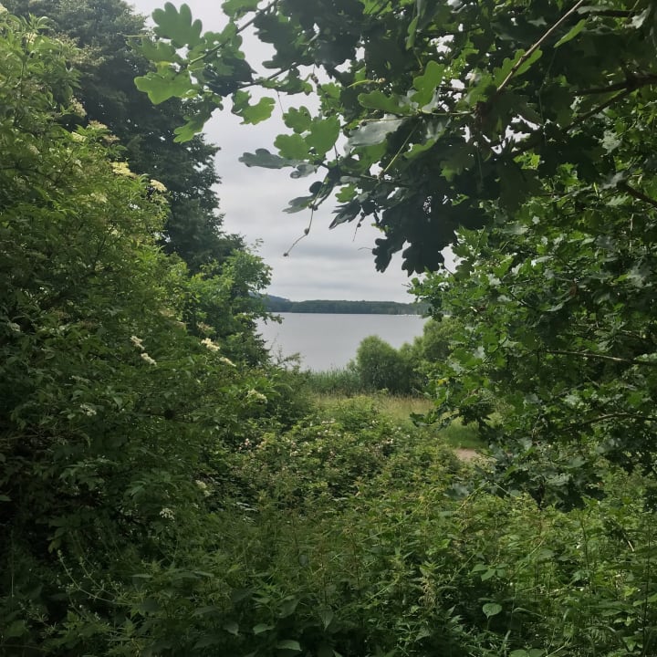 Ausblick Center Parcs Park Bostalsee