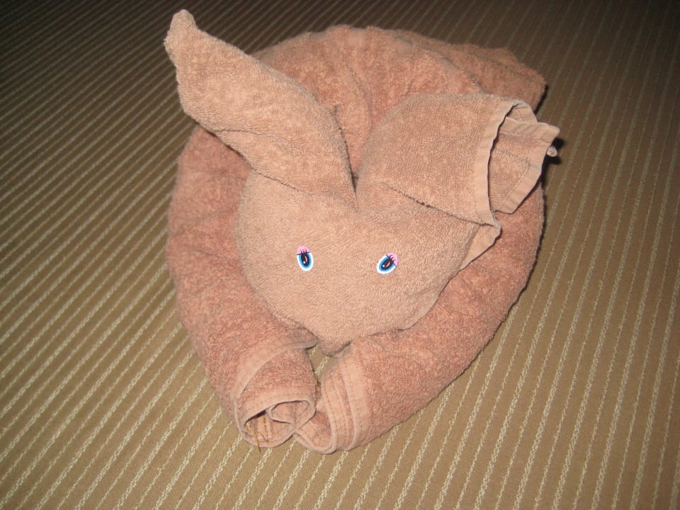 Handtuchfiguren Hotel Riu Tequila