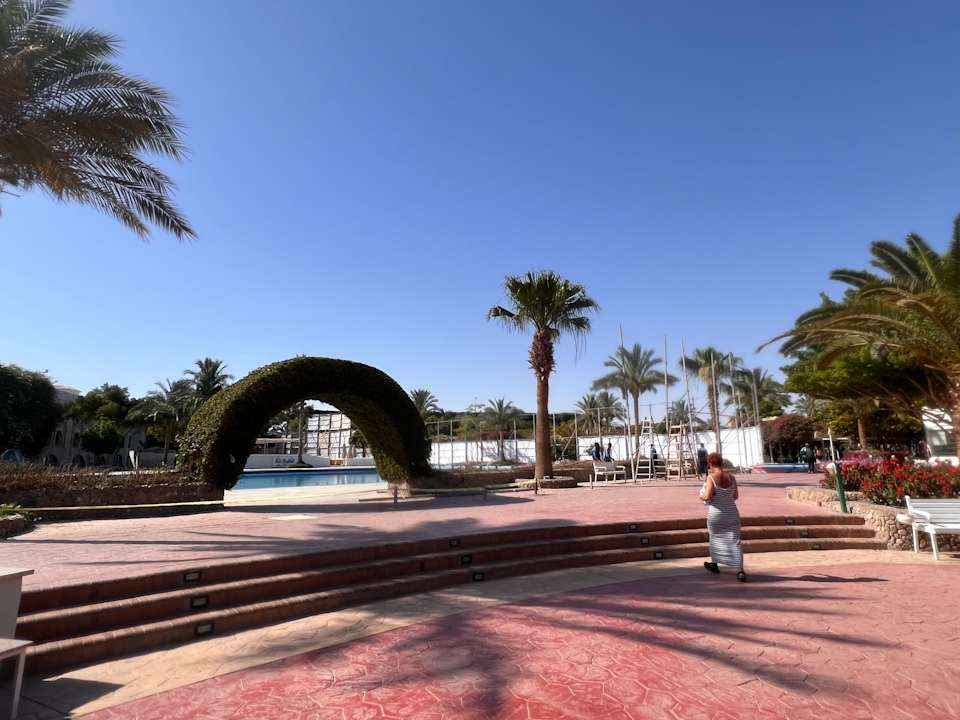 Gartenanlage Desert Rose