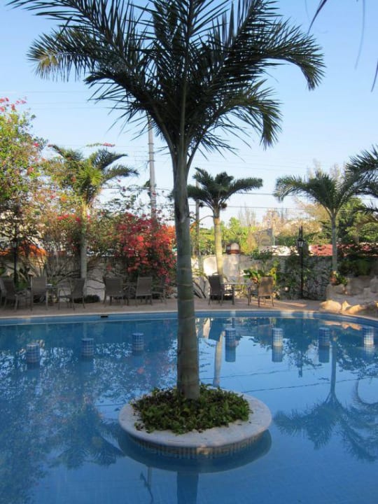 Ein kleiner süßer Pool Hostel Casa Valladolid