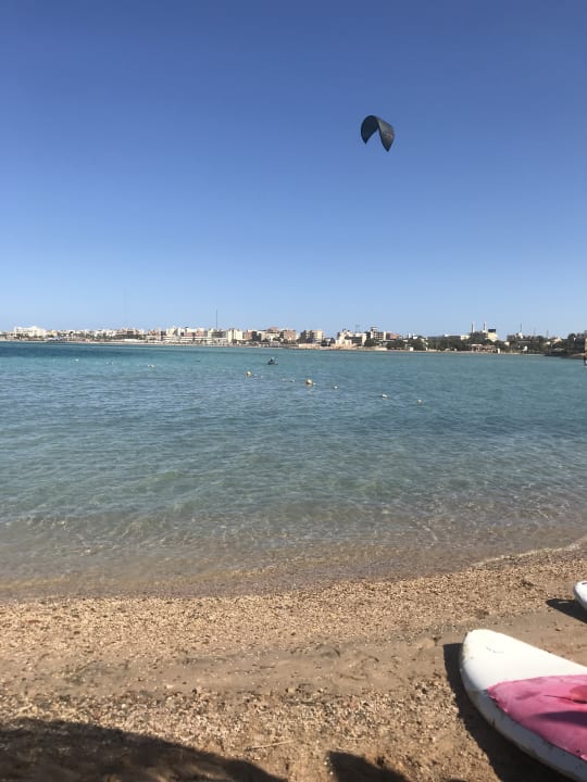 Strand Sea Star Beau Rivage