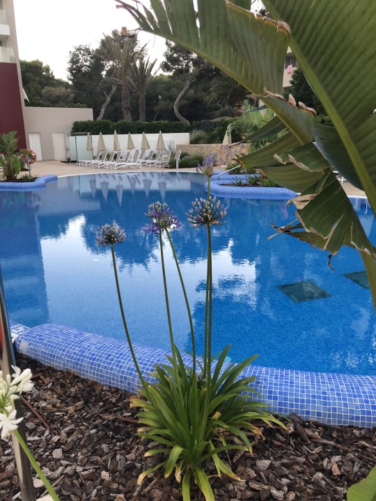 Pool Hipotels Bahía Cala Millor