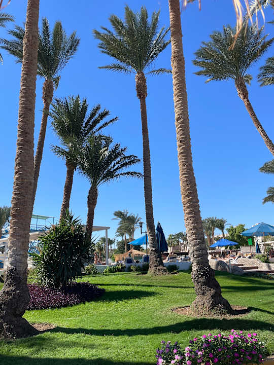 Außenansicht Regina Resort and Aqua Park Hurghada