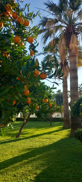 Gartenanlage Seher Kumköy Star Resort & Spa