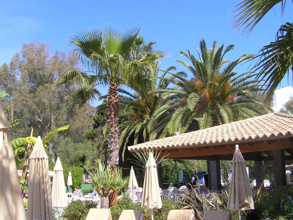 Poolbar Flipflop Cala Romantica