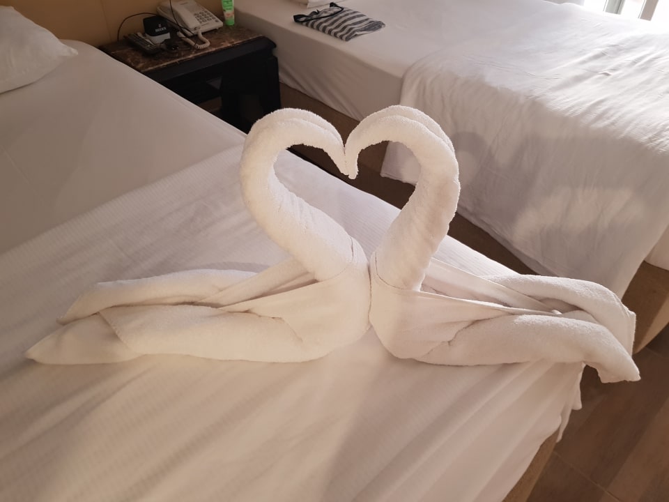 Zimmer Beach Albatros Resort