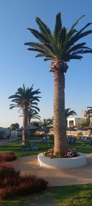 Gartenanlage Anissa Beach & Village