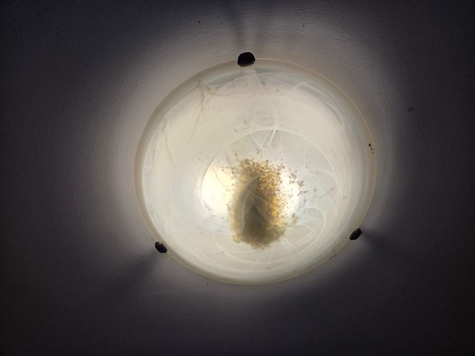 Sonstiges Lindos Princess Beach Resort & Spa