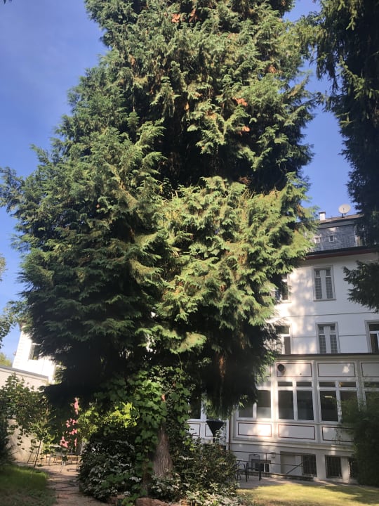 Gartenanlage Kurhotel Quellenhof