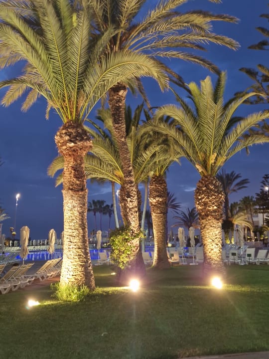 Gartenanlage Iberostar Waves Founty Beach