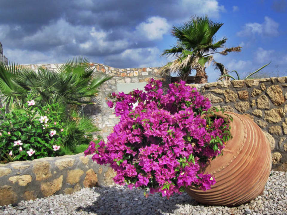 Überall Grün und Blumen Ikaros Beach Luxury Resort & Spa - Adults Only