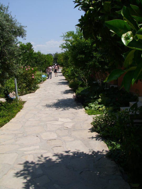 Draußen Özlem Garden Hotel