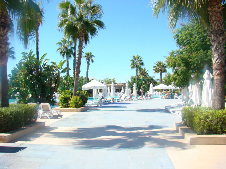 Pool Susesi Luxury Resort