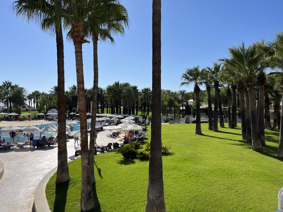 Pool Monachus Family Resort Sorgun