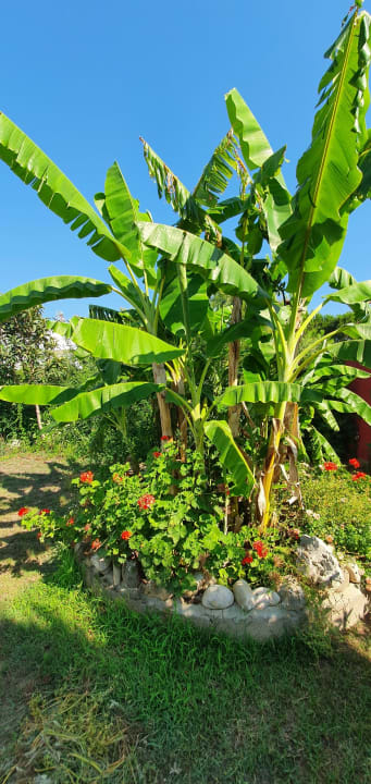 Außenansicht Önder Yildiz Hotel
