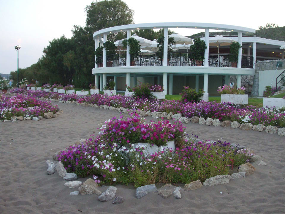 Bild 5 Hotel Calypso Beach