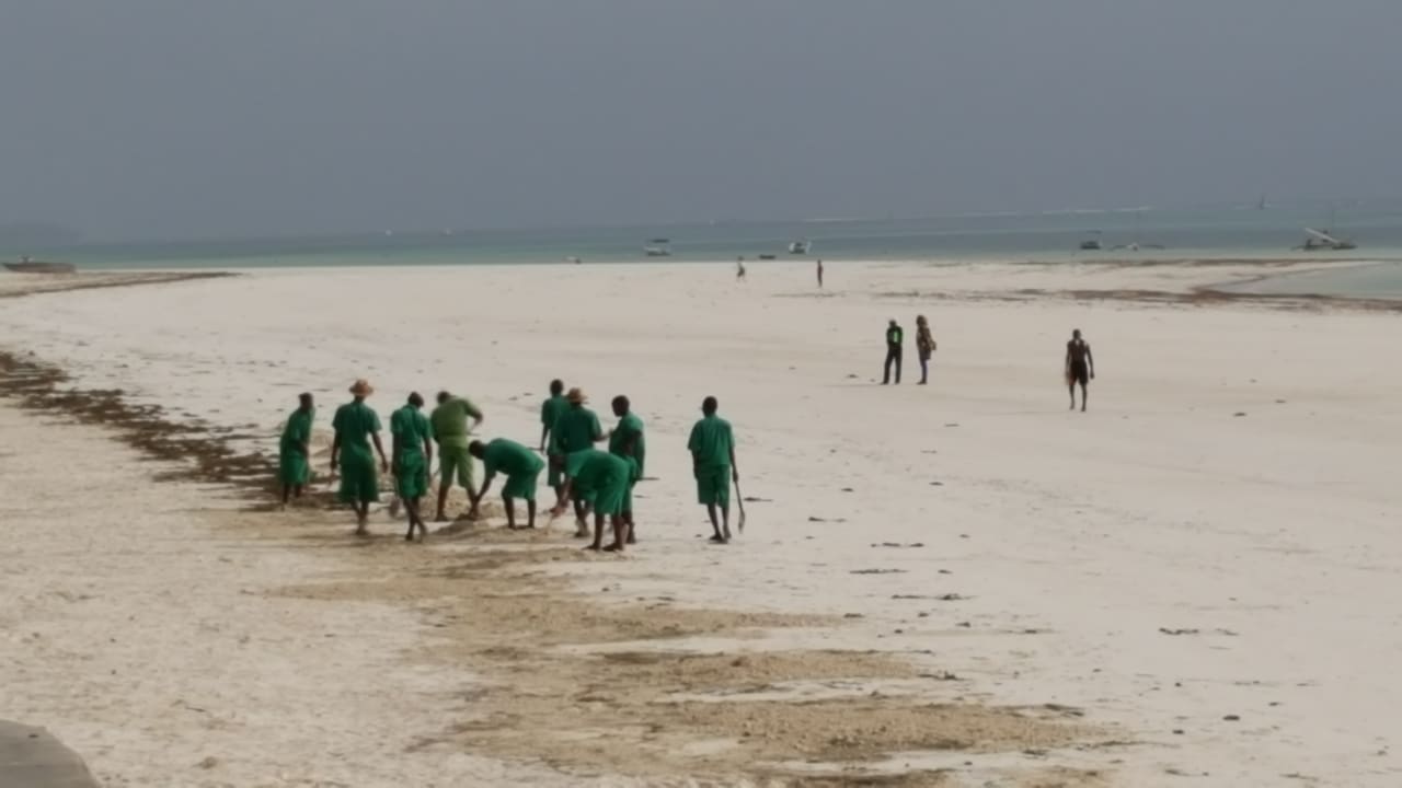 Fleißige Bienchen...Strandreinigung jeden Tag Neptune Village Beach Resort & Spa