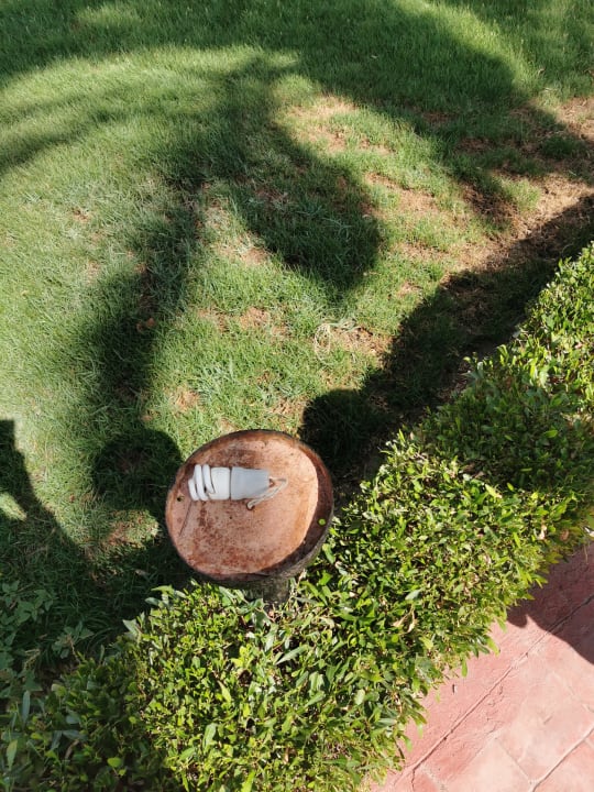 Gartenanlage Swisstouch Oriental Resort Marsa Alam