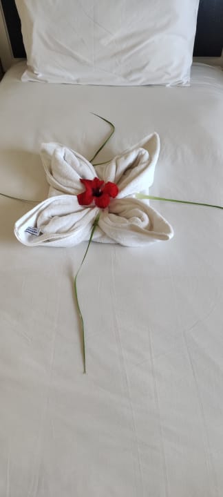 Zimmer Pickalbatros Sands Hotel - Port Ghalib