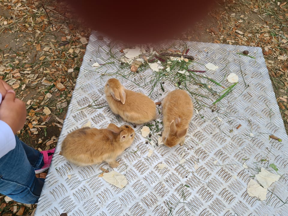 Sonstiges Hotel Stadt Wien